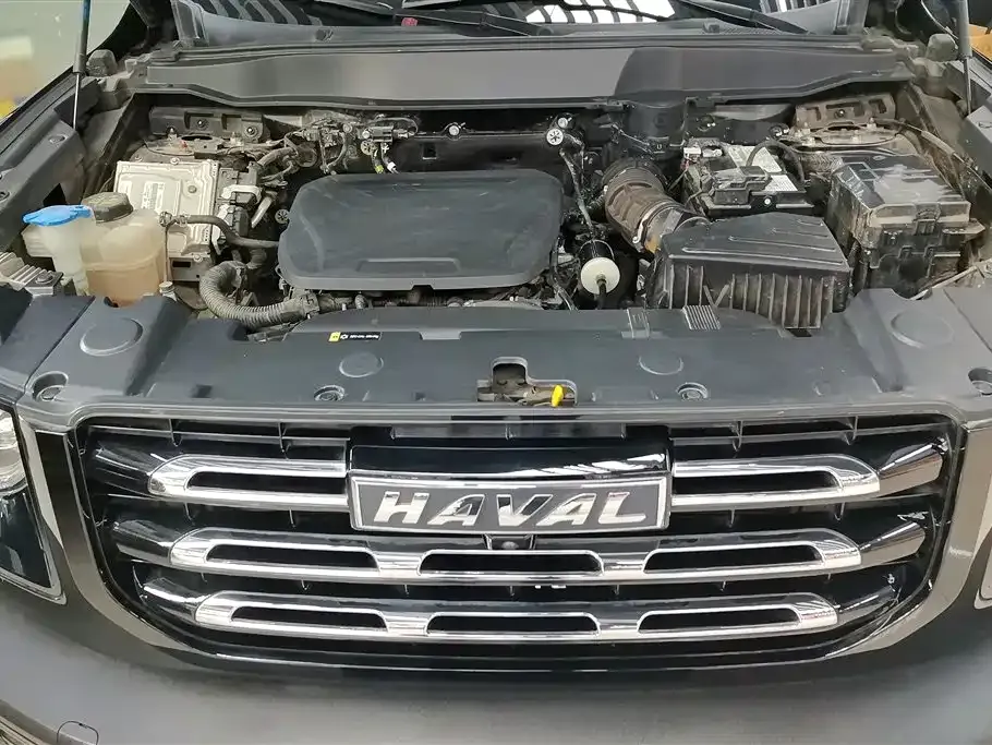 Haval Big Dog 2023 из CN, фото 9