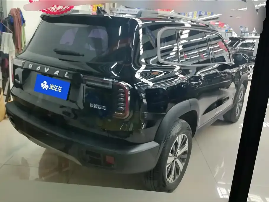 Haval Big Dog 2023 из CN, фото 8