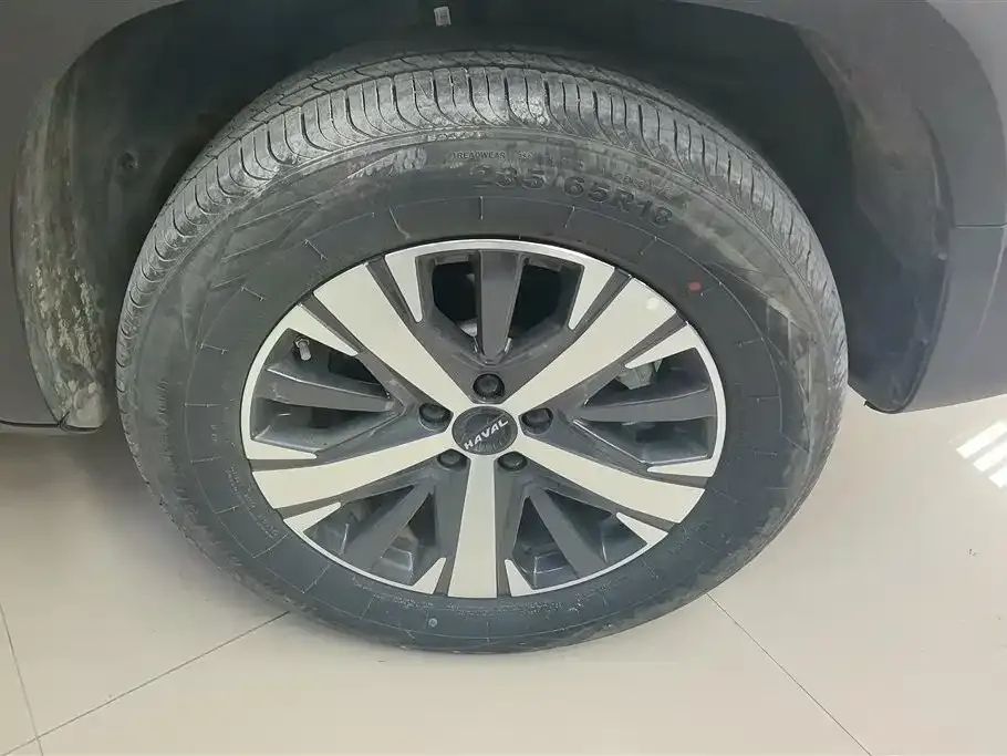 Haval Big Dog 2023 из CN, фото 5