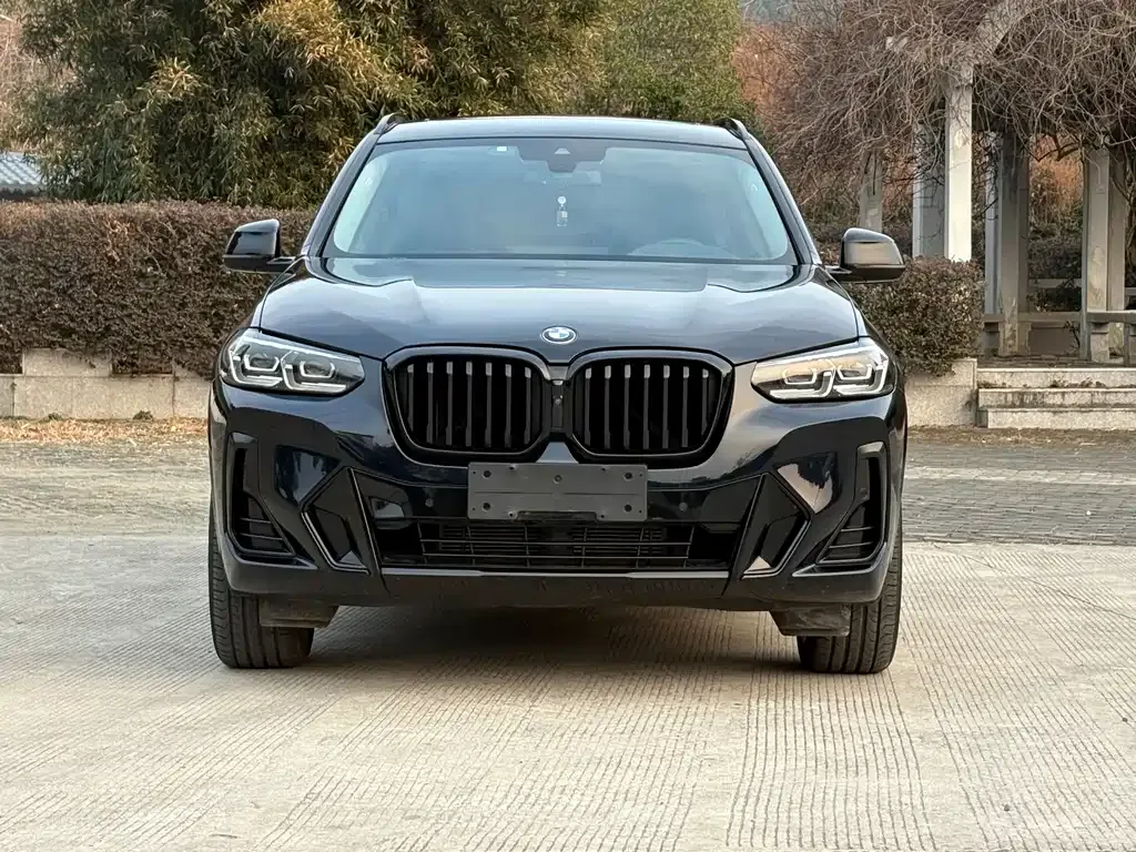BMW X3 2022 из CN, фото 8