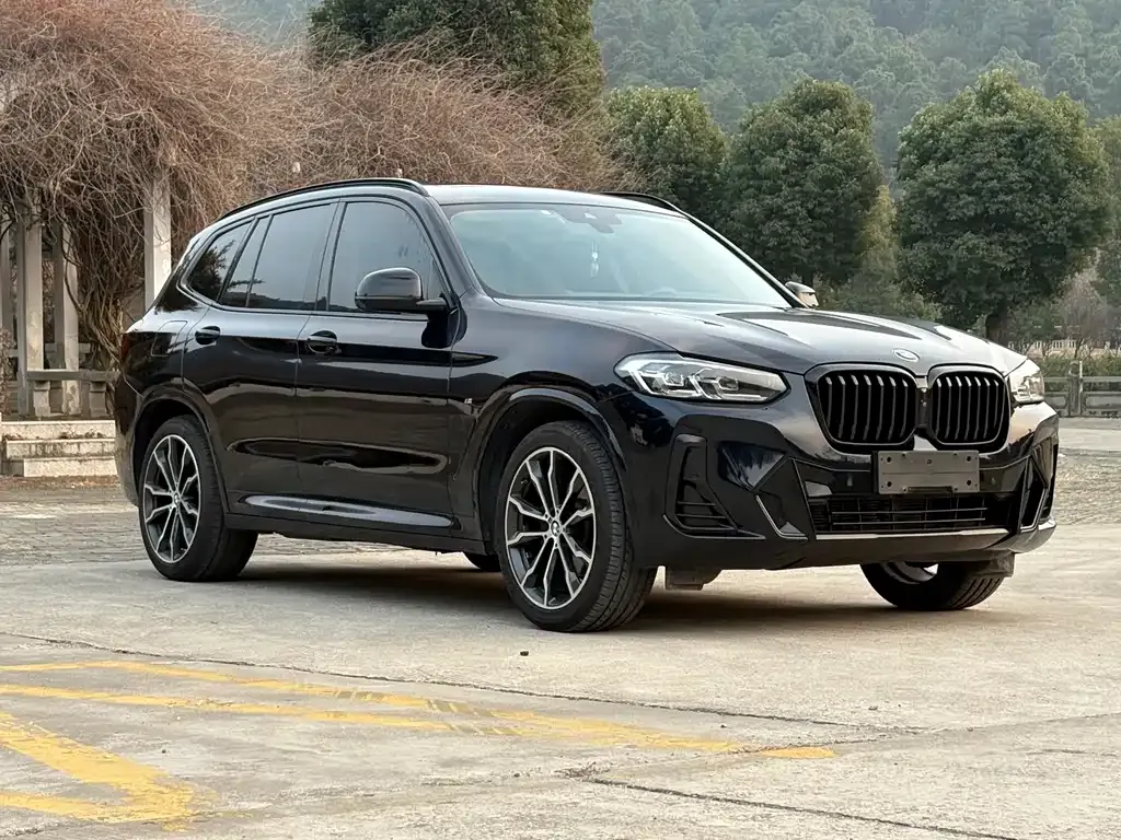 BMW X3 2022 из CN, фото 7
