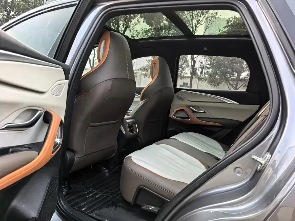 BYD Pro New Energy 2022 из CN, фото 2