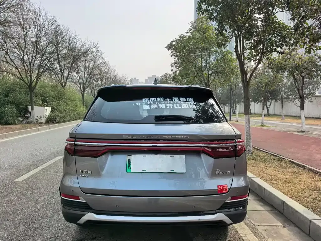 BYD Pro New Energy 2022 из CN, фото 7