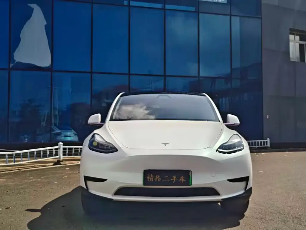 Tesla Model Y — фото 3