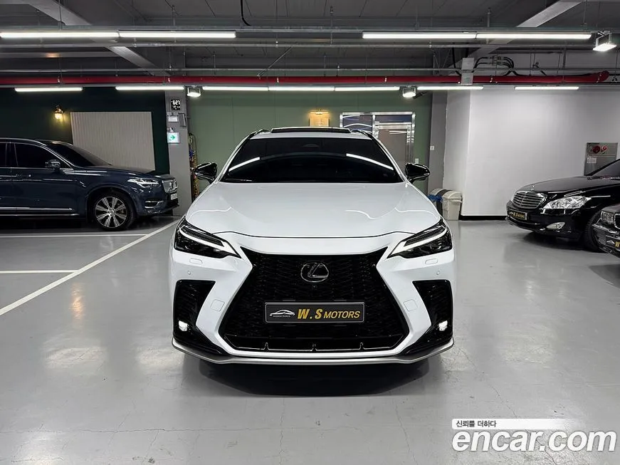 Lexus NX 2024 из KR, фото 5