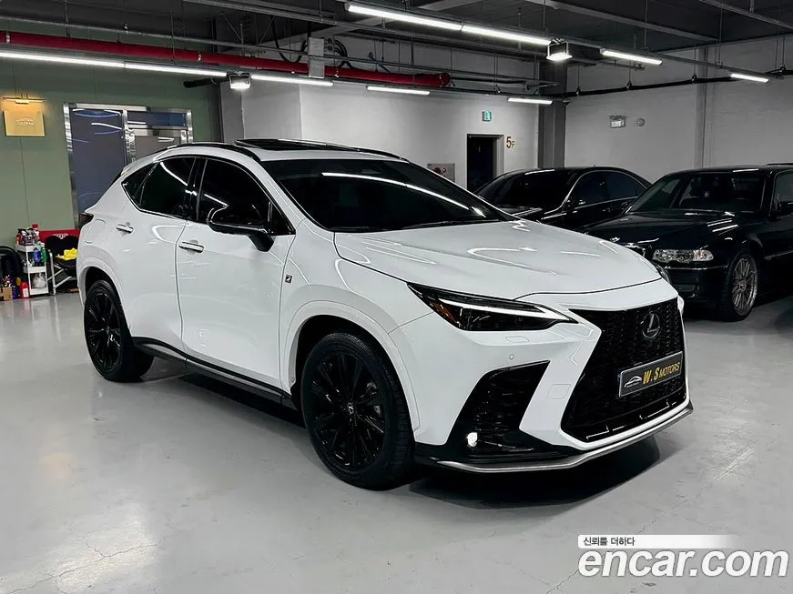 Lexus NX 2024 из KR, фото 8