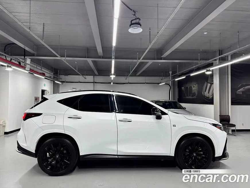Lexus NX 2024 из KR, фото 4