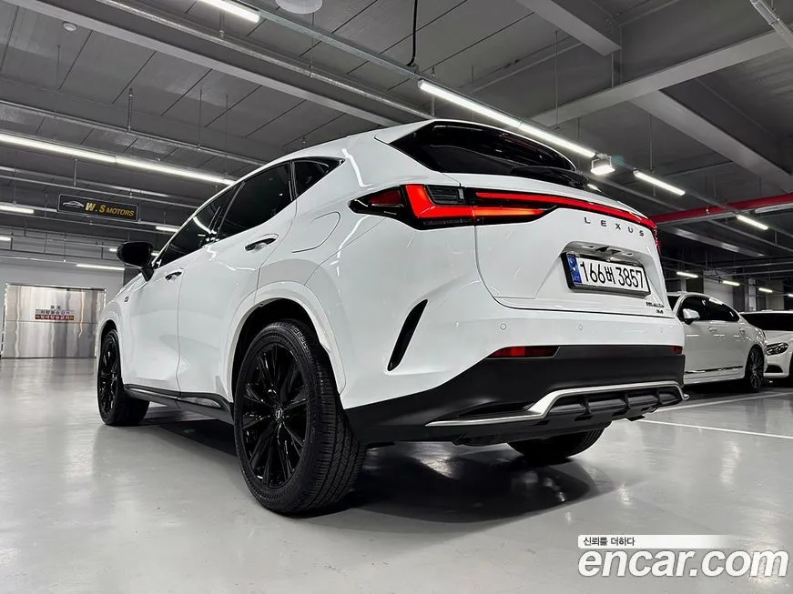 Lexus NX 2024 из KR, фото 6