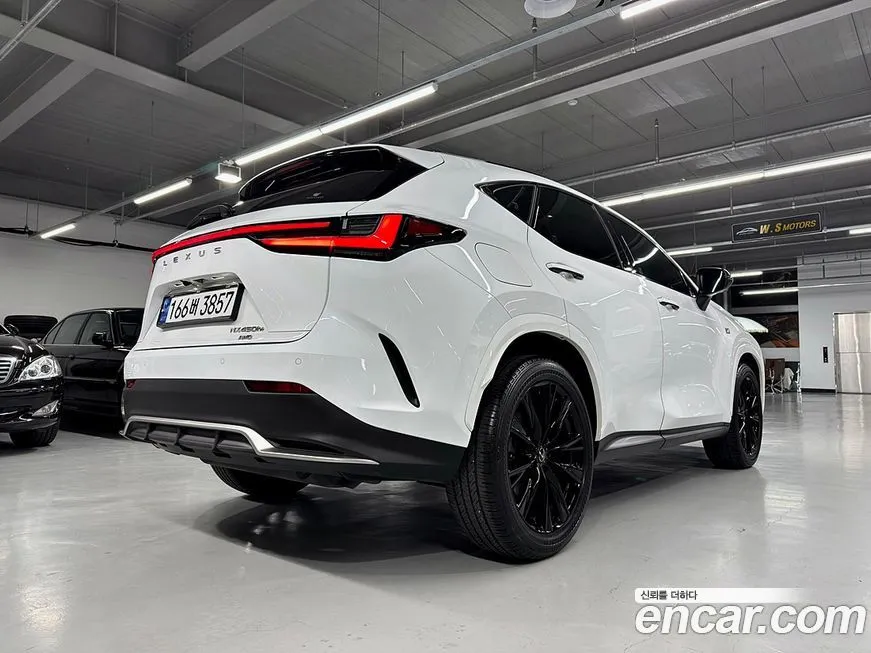 Lexus NX 2024 из KR, фото 3