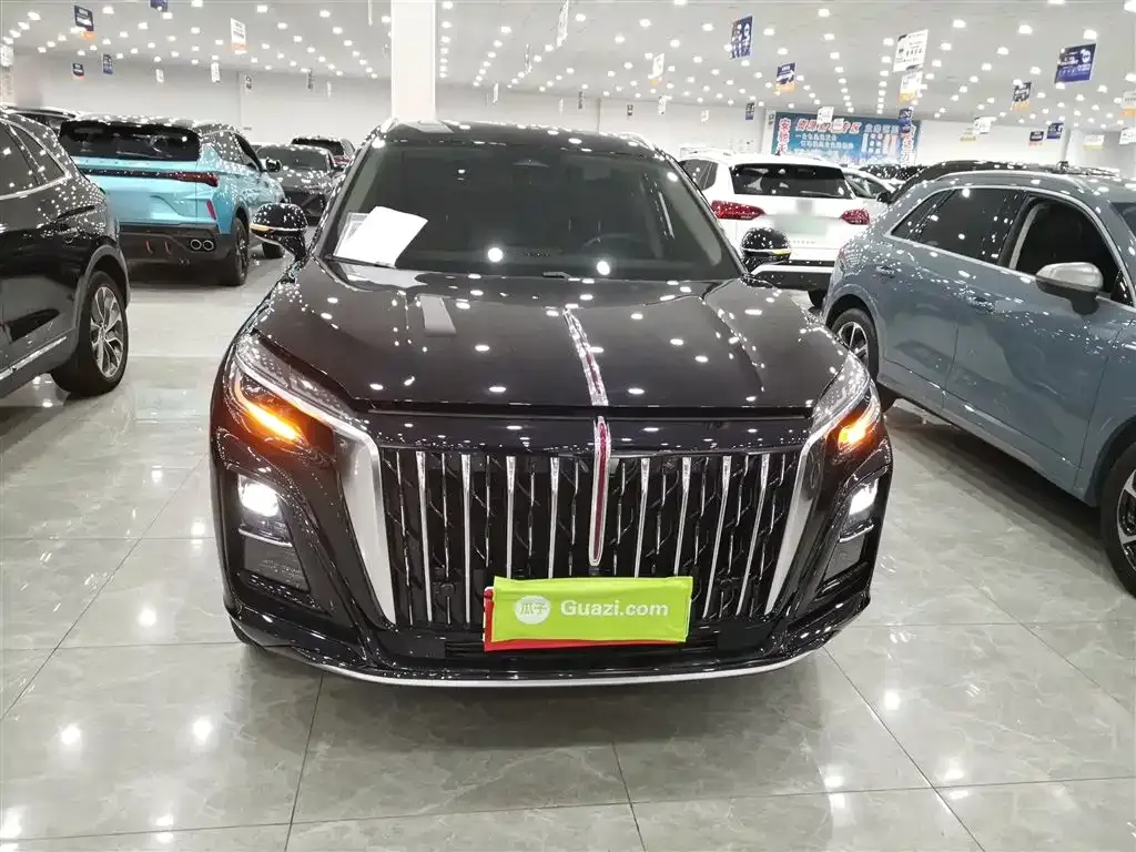 Hongqi HS3 PHEV 2025 из CN, фото 10