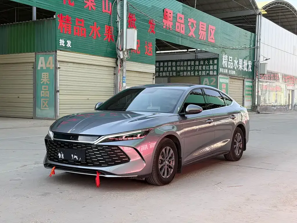 BYD Qin L 2024 из CN, фото 1