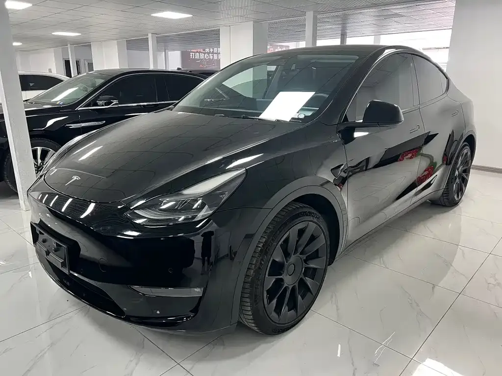 Tesla Model Y — фото 1