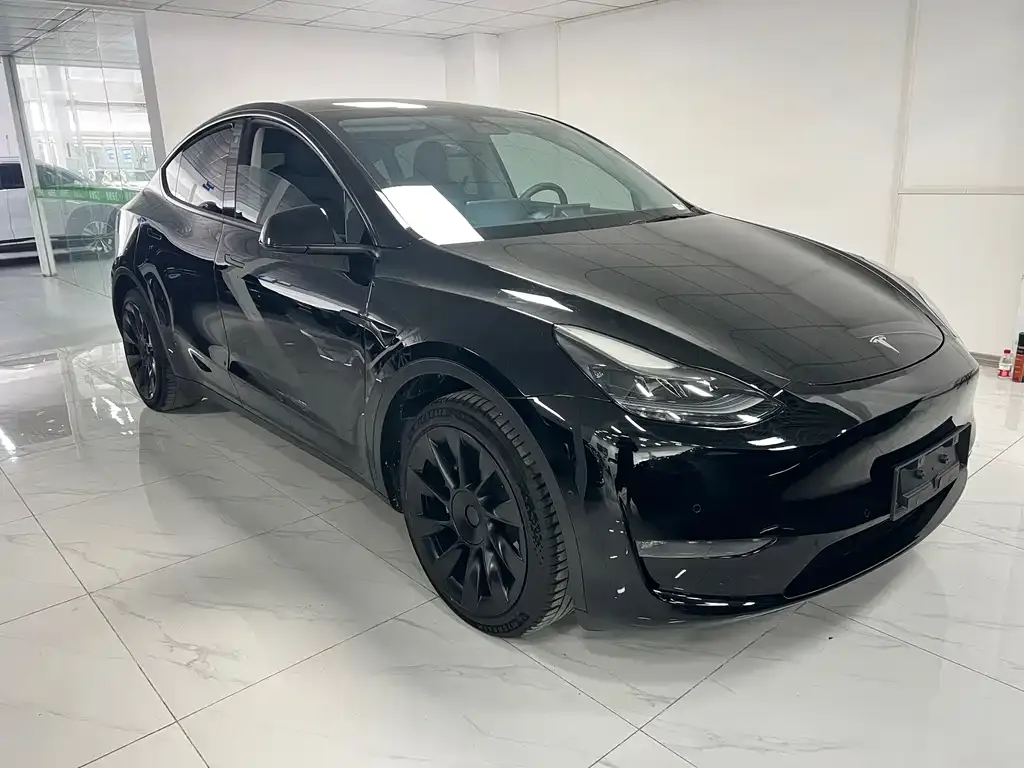 Tesla Model Y — фото 2