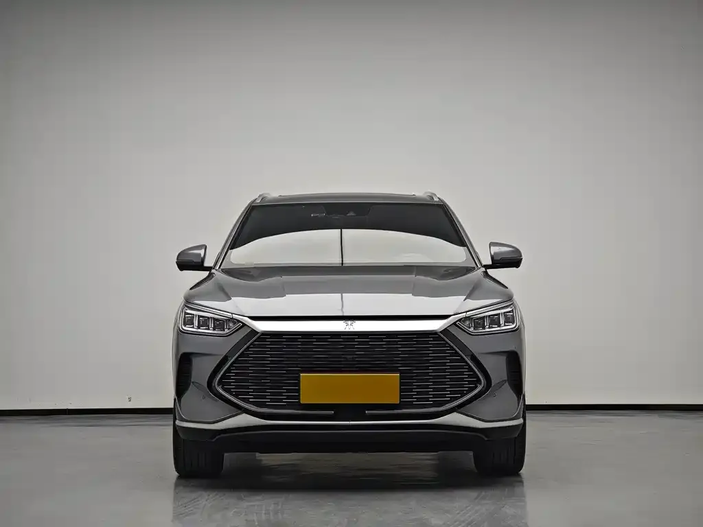 BYD PLUS New Energy — фото 10