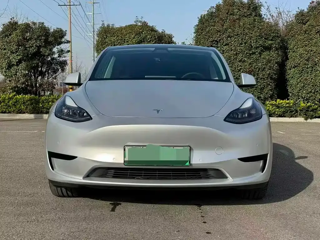 Tesla Model Y — фото 2
