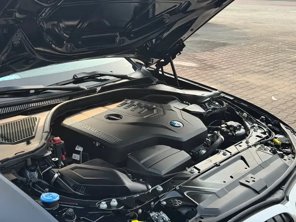 BMW 3 Series 2021 из CN, фото 9