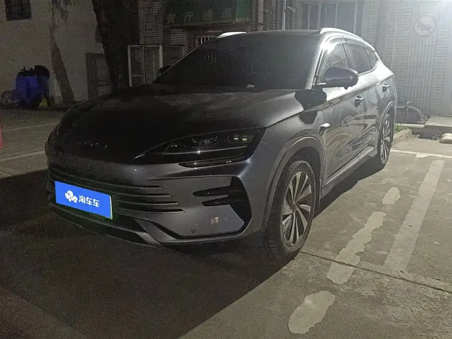 BYD PLUS New Energy 2024 из CN, фото 1