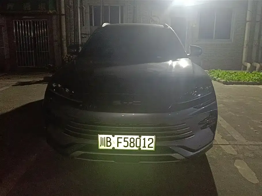 BYD PLUS New Energy 2024 из CN, фото 2
