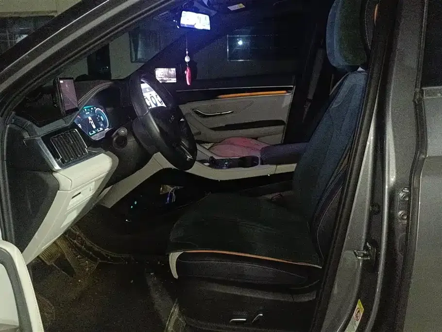 BYD PLUS New Energy 2024 из CN, фото 10