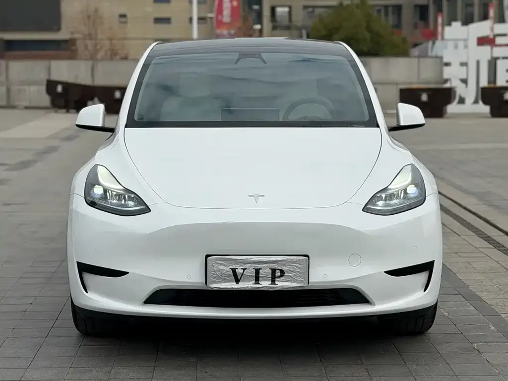 Tesla Model Y — фото 6