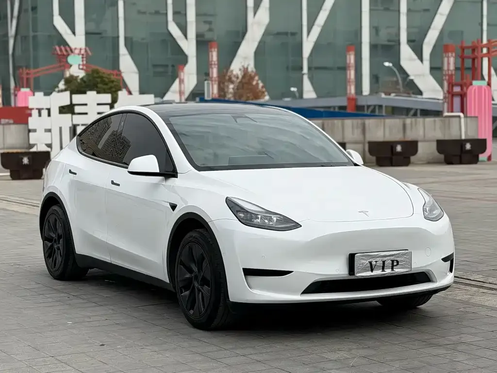 Tesla Model Y — фото 9