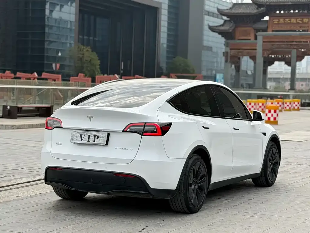 Tesla Model Y — фото 8