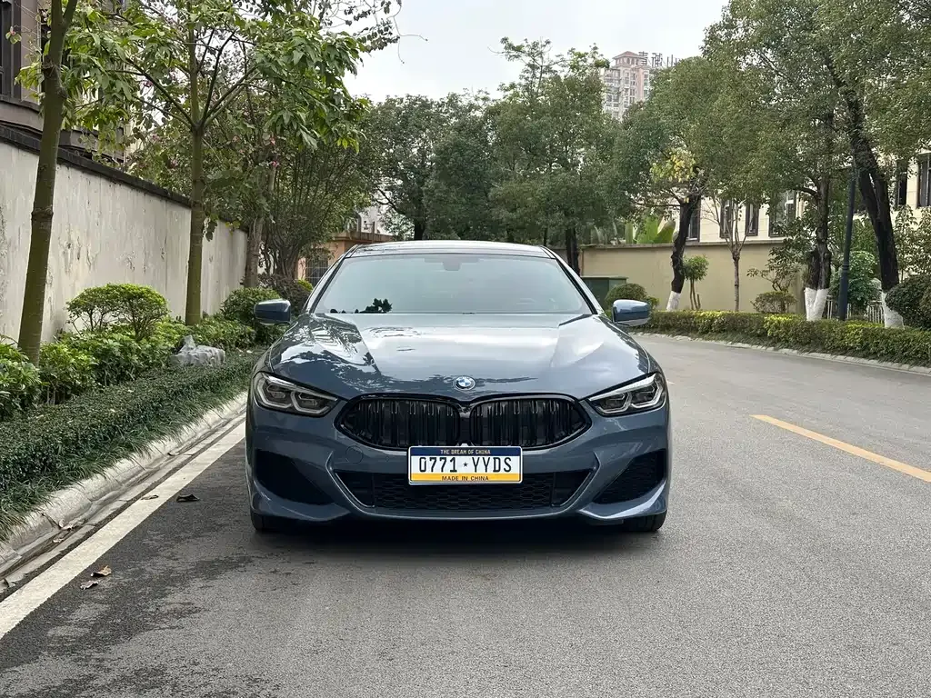 BMW 8 Series — фото 10