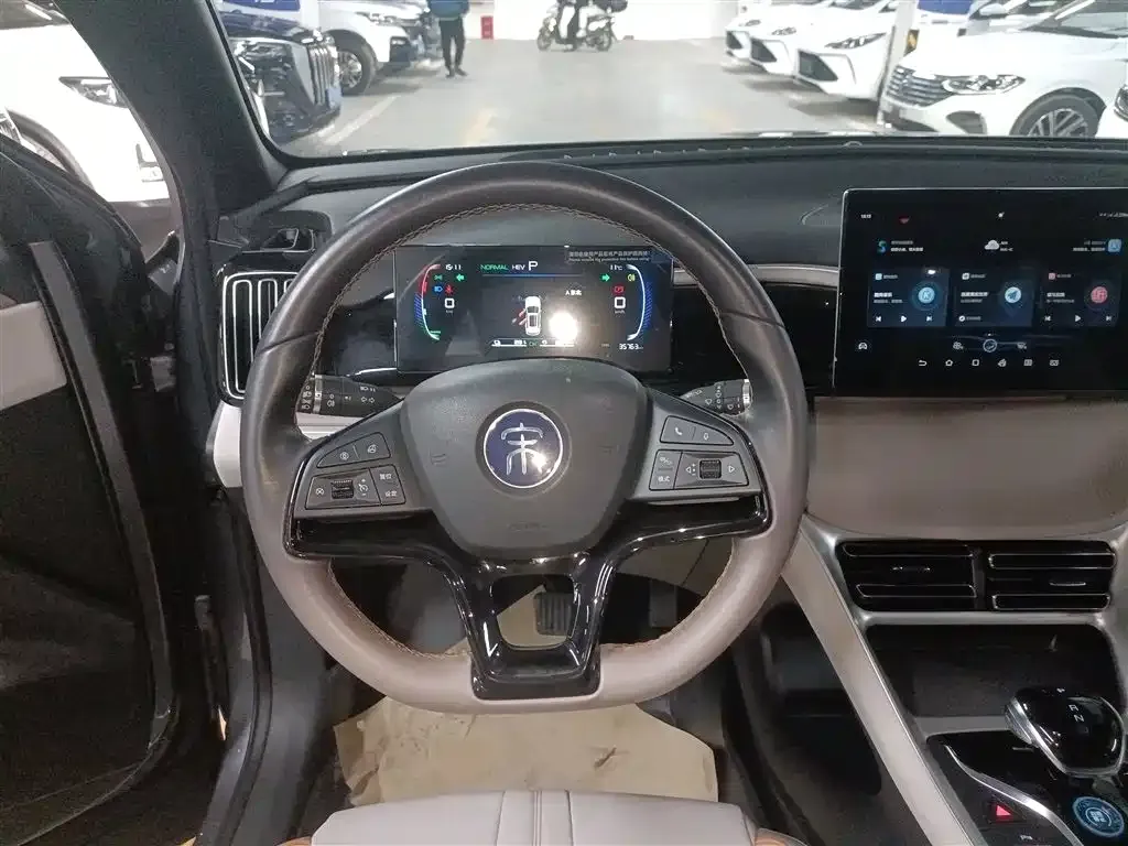 BYD Pro New Energy 2023 из CN, фото 4