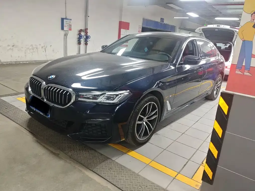 BMW 5 Series 2022 из CN, фото 1