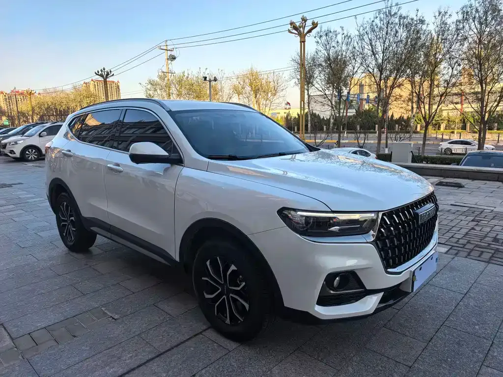 Haval H6 — фото 3