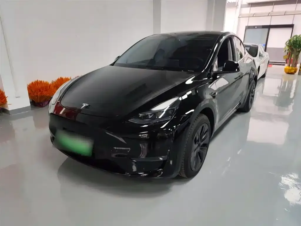 Tesla Model Y 2024 из CN, фото 9