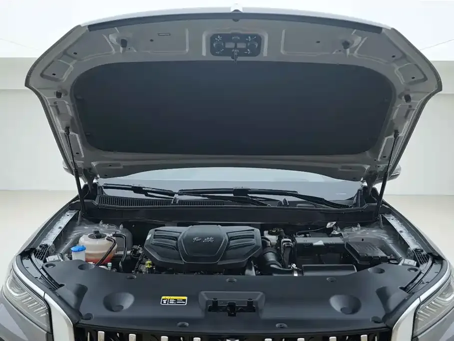 Hongqi HS5 2023 из CN, фото 9