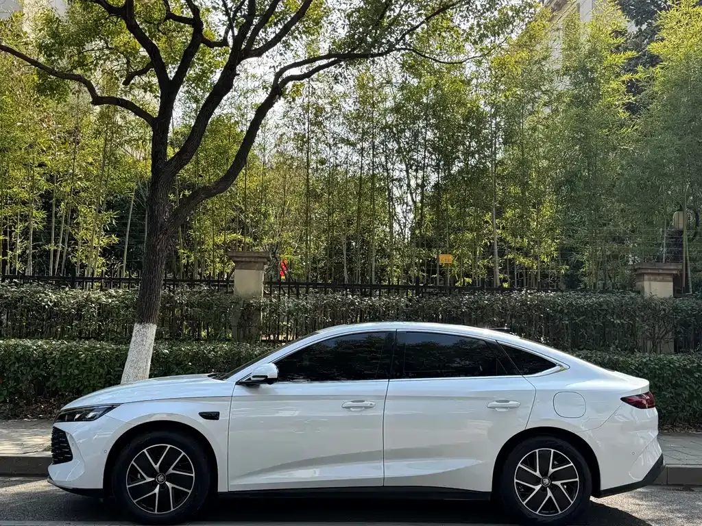 BYD Qin L — фото 10