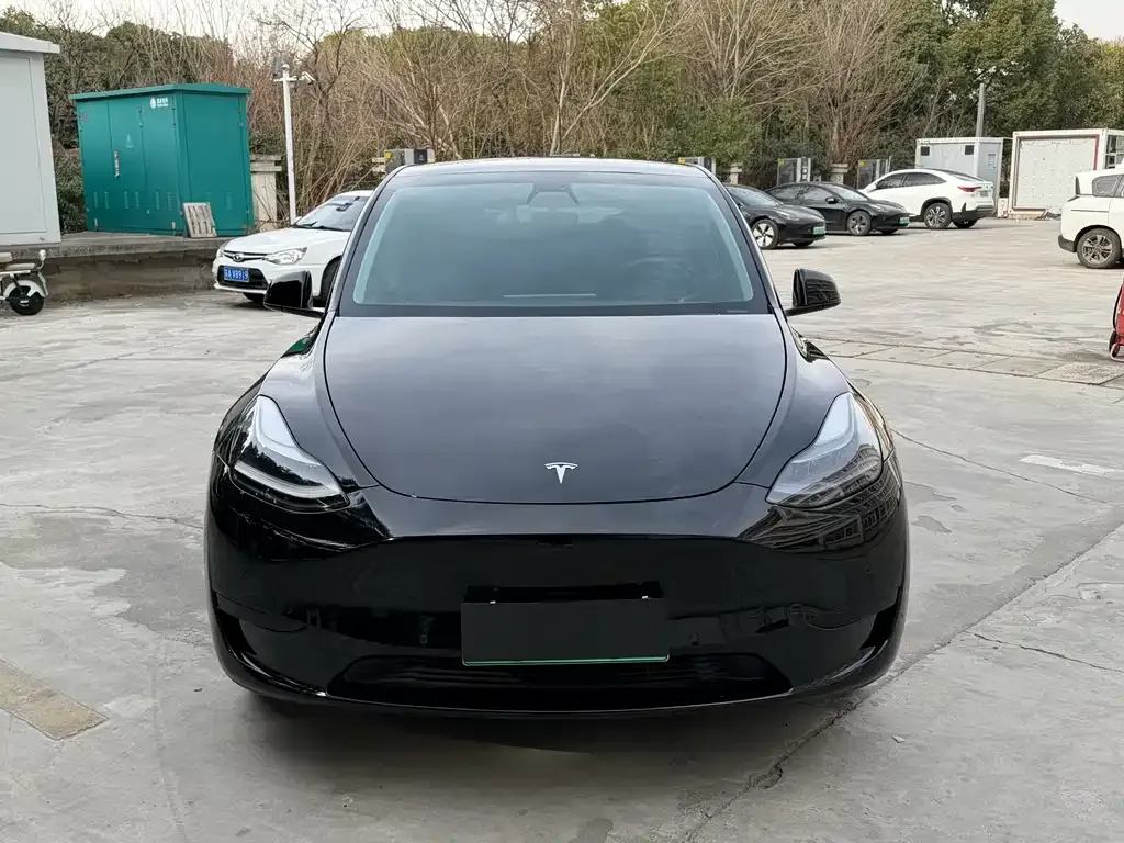 Tesla Model Y — фото 7