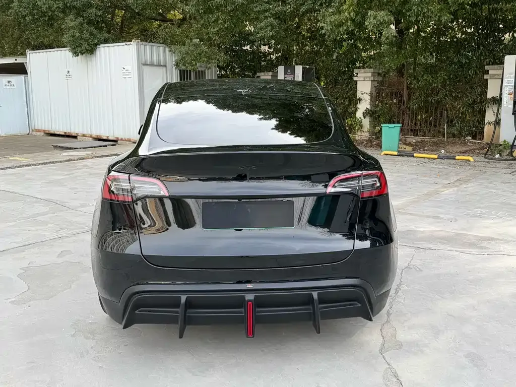 Tesla Model Y — фото 3
