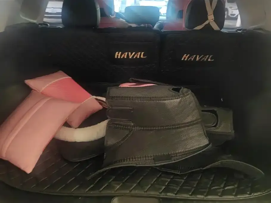 Haval H7 (Big Dog Plus) 2024 из CN, фото 8