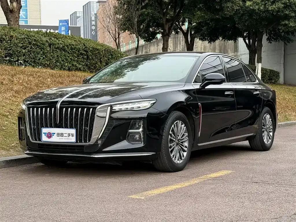 Hongqi H5 2023 из CN, фото 1