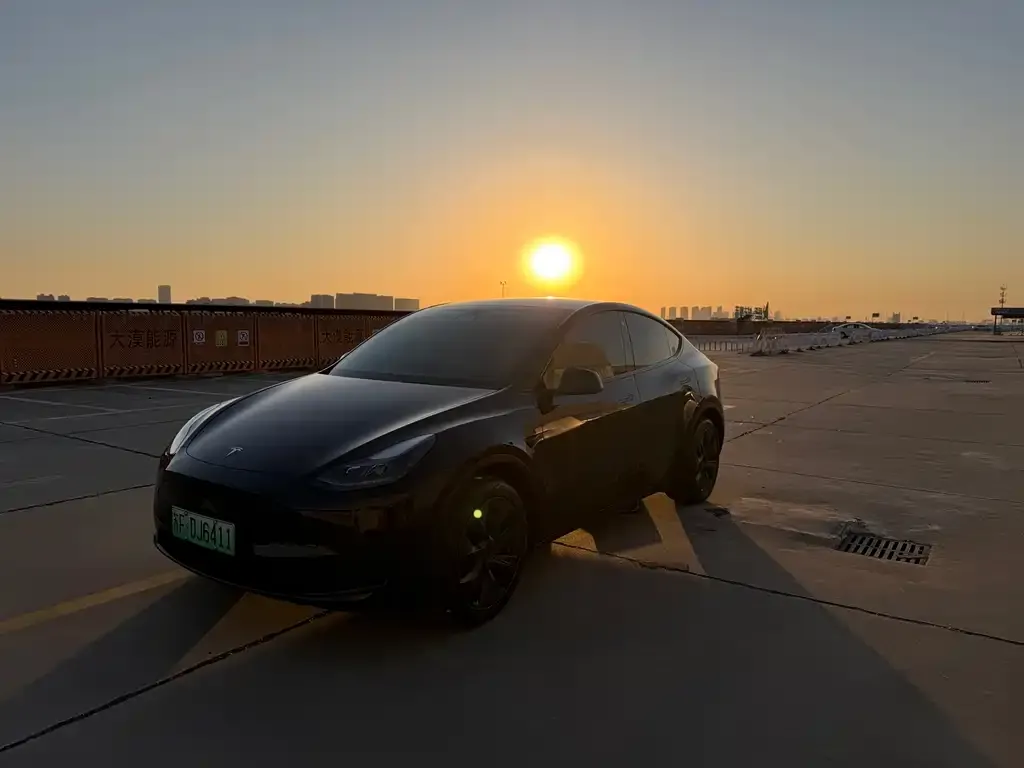 Tesla Model Y 2024 из CN, фото 1