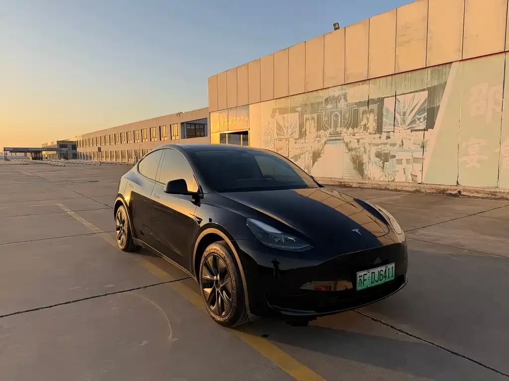 Tesla Model Y 2024 из CN, фото 7