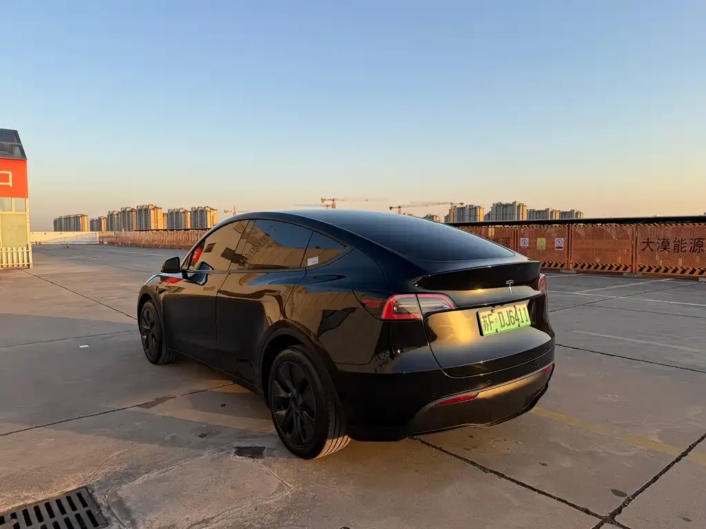 Tesla Model Y 2024 из CN, фото 5
