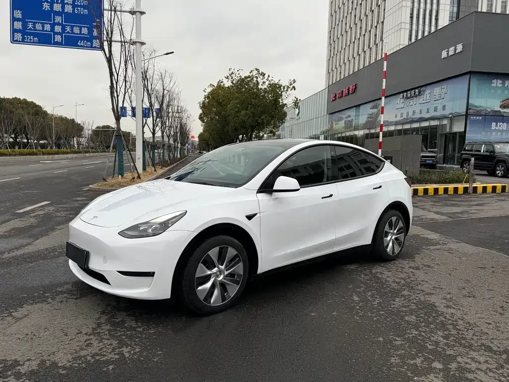 Tesla Model Y 2021 из CN, фото 1
