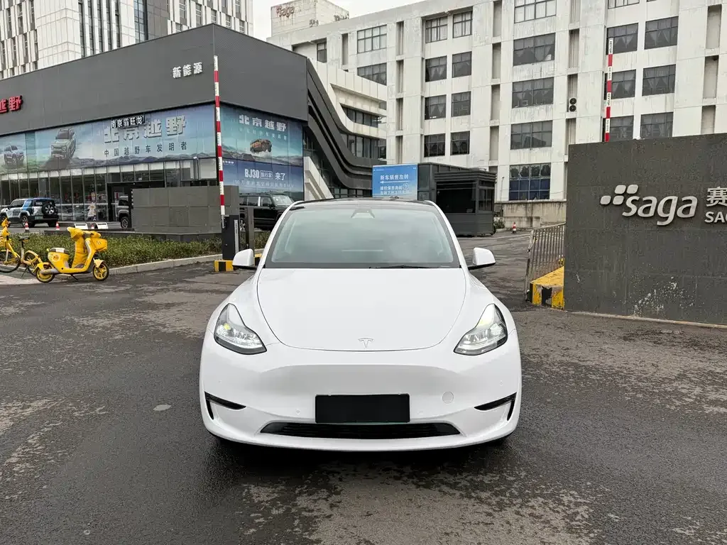 Tesla Model Y 2021 из CN, фото 3