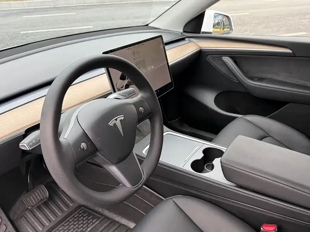 Tesla Model Y 2021 из CN, фото 7