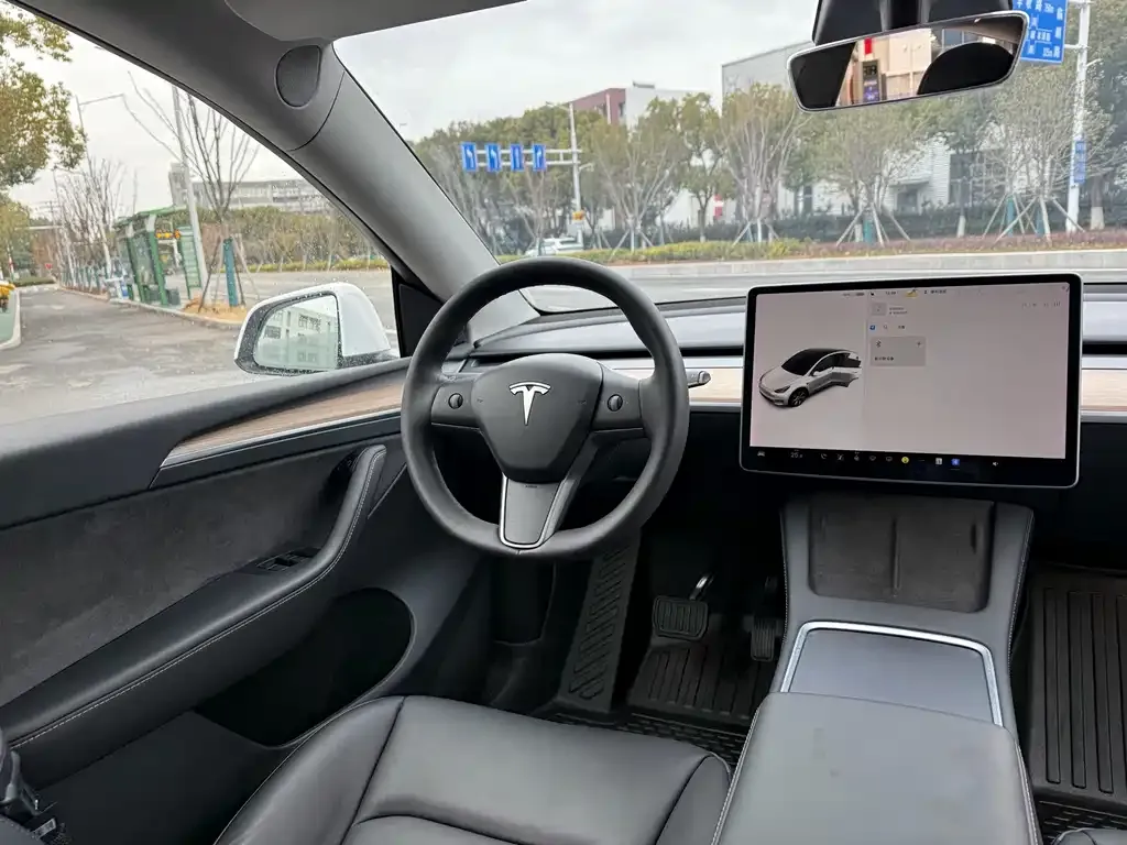 Tesla Model Y 2021 из CN, фото 4