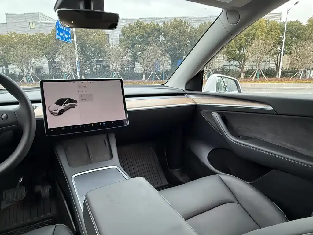 Tesla Model Y 2021 из CN, фото 9