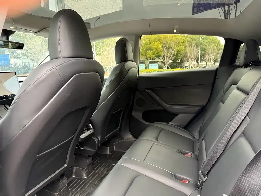 Tesla Model Y 2021 из CN, фото 5