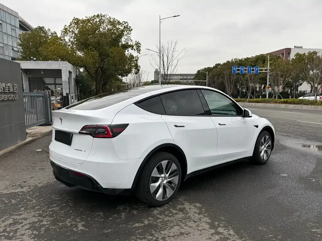 Tesla Model Y 2021 из CN, фото 8
