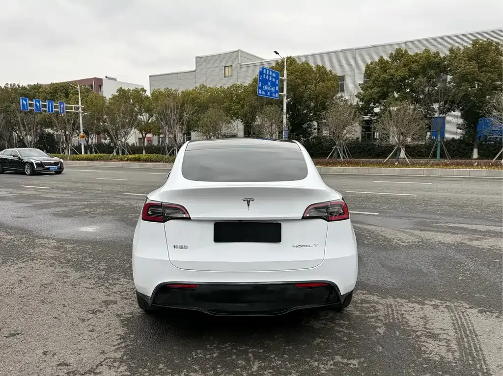 Tesla Model Y 2021 из CN, фото 6