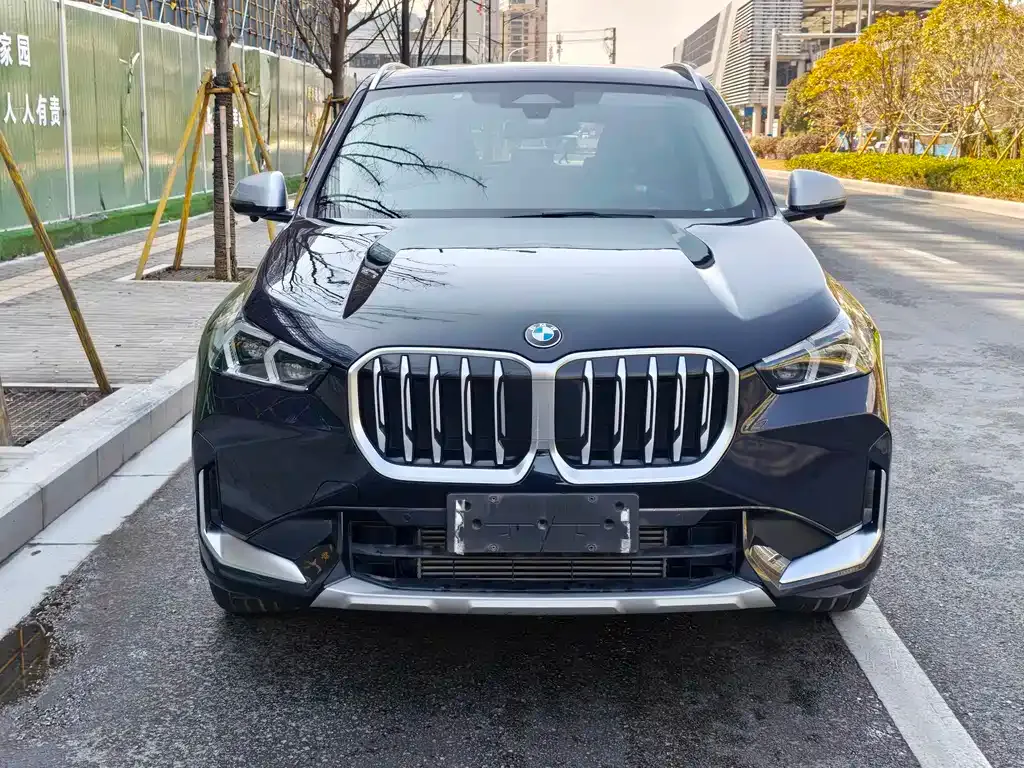 BMW X1 2024 из CN, фото 8