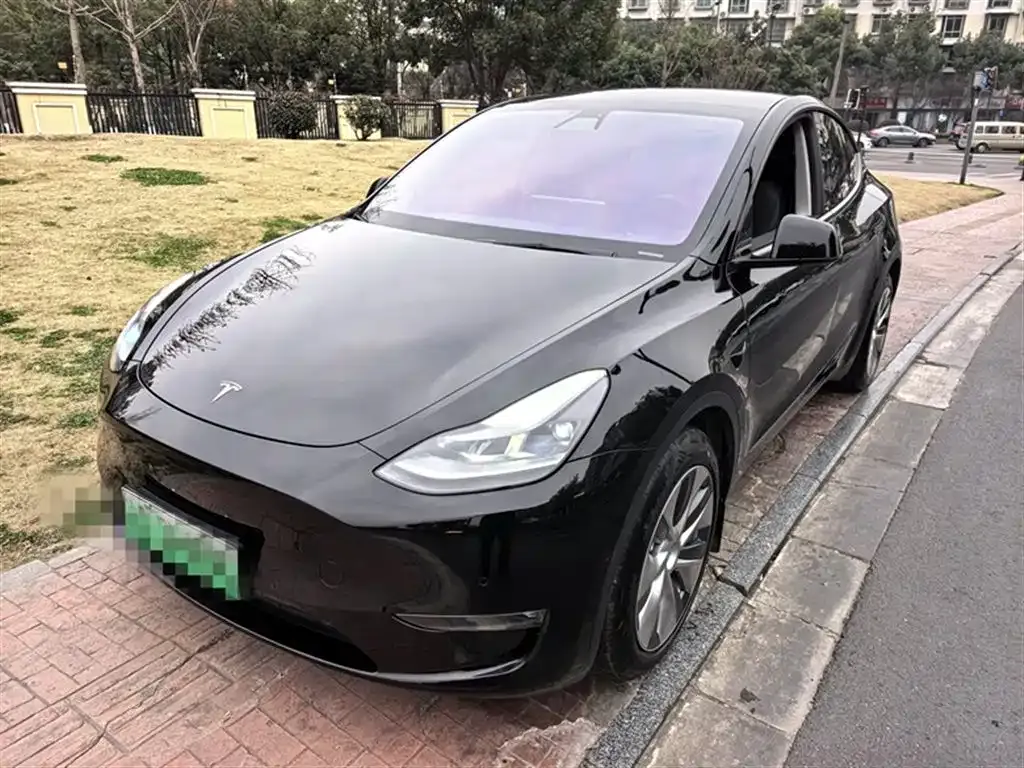 Tesla Model Y 2021 из CN, фото 1
